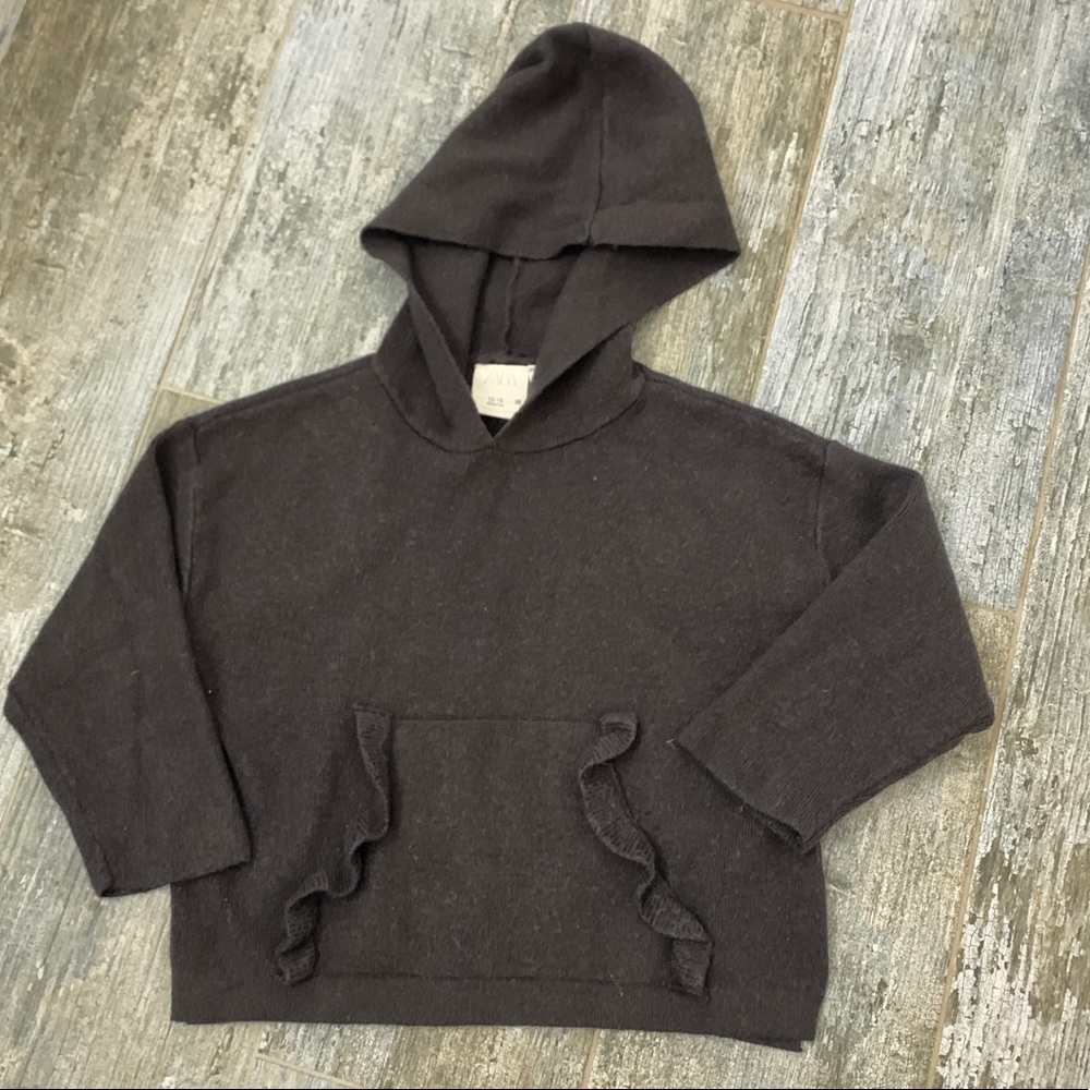 Zara hooded sweater